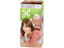 【レビュー投稿で100円OFFクーポン】KAO リーゼ 泡カラー チョコレートブラウン 黒髪用ヘアカラー ヘアカラー ヘアケア