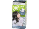 【レビュー投稿で100円OFFクーポン】KAO リーゼ 泡カラー アイスブルージュ 黒髪用ヘアカラー ヘアカラー ヘアケア