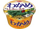 【店内全品ポイント2倍★16日9:59迄】 エースコック わかめラーメン しじみだし・みそ