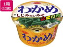 【レビュー投稿で100円OFFクーポン】エースコック わかめラーメン しじみだし・みそ 12食 カップラーメン ラーメン インスタント レトルト 食品