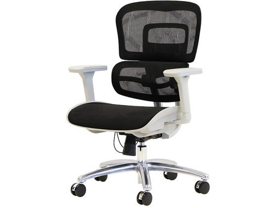 ڥ᡼ľNetforce ʥߥPro ֥å DP-1-FW-BKԲġۡڤΩ ɪդưɪ ...