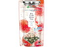 【ポイント2倍★22日20:00~27日9:59迄】 伊藤園 香るCold Brew Tea ジャスミン茶×ライチ 5袋 ティーバッグ ジャスミン茶 お茶 飲料