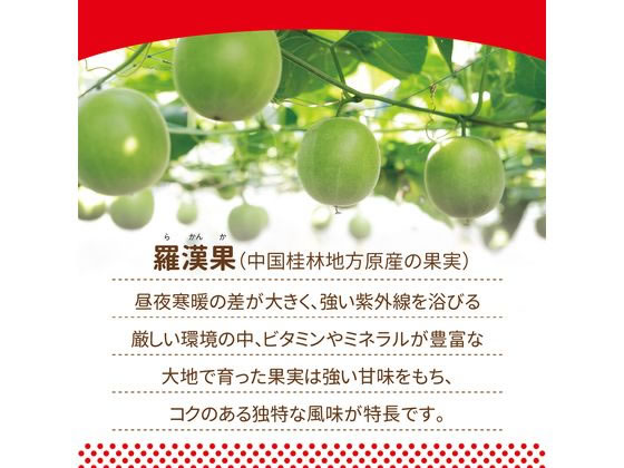 【楽天スーパーSALE限定★ポイント2倍＆2,000円クーポン】サラヤ ラカントS 顆粒 720g 砂糖 調味料 油 食品