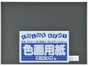 【ポイント2倍★22日20:00~27日9:59迄】 大王製紙 再生色画用紙 4ツ切10枚 くま(こいくろ) 色画用紙 四つ切 図画 工作 教材 学童