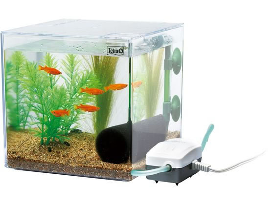 �ڥ�ӥ塼��Ƥ�100��OFF�����ݥ�ۡڤ����󤻡ۥ��ڥ��ȥ��֥�󥺥���ѥ� �ƥȥ� ��������Ƥ褦 PL-17KB ���� ������� ���å� �Ѿ޵� �ڥå� �������ꥦ��