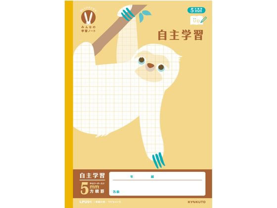 �ڳ�ŷ�����ѡ�SALE������ݥ����2�ܡ�2,000�ߥ����ݥ�ۥ��祯�ȥ� ����å��ߤ�ʤγؽ� ����ؽ� 5mm����R 30�� ������ ����� �ؽ�Ģ �Ρ���