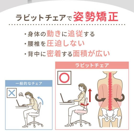 【レビュー投稿で100円OFFクーポン】【メーカー直送】Netforce ラビットチェア 肘付 ホワイト×ブルー RBT-1MA-FW-WHBL【代引不可】【お客様組立】肘付き 可動肘タイプ 布張りチェア オフィスチェア オフィス家具 [2]