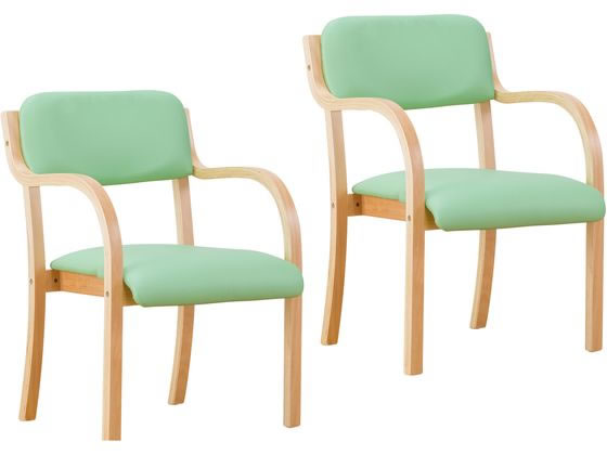 【レビュー投稿で100円OFFクーポン】【メーカー直送】ファミリー・ライフ 立ち座りサポートチェア グリーン 2脚組 0408720【代引不可】【お客様組立】ダイニングチェア ソファ イス リビング家具 インテリア(3.0)