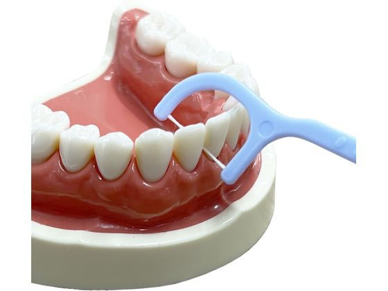 �ڥ�ӥ塼��Ƥ�100��OFF�����ݥ�ۥ��ӥ� �ޤ��ˤ��ե��� 120���� �ǥ󥿥�ե��� ������륱�����å� ������륱��