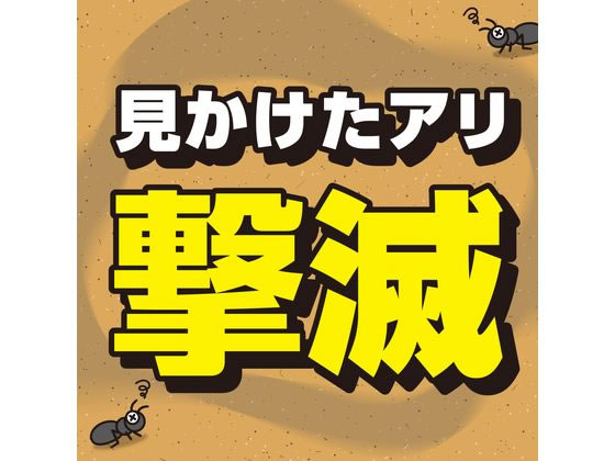 �ڥ�ӥ塼��Ƥ�100��OFF�����ݥ�ۡڤ����󤻡ۥ��������� �����������ǥ� ������� 480mL ����� ����� ����� ��� �����ǥ˥�