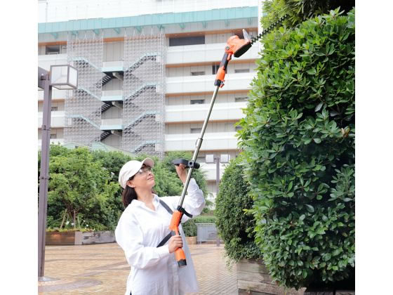 �ڥ�ӥ塼��Ƥ�100��OFF�����ݥ�ۡڥ᡼����ľ���ۥե��ߥ꡼���饤�� �������𴢤�Хꥫ���� �����Хꥫ�� �ؿ� 04206������ԲġۥХꥫ�� �إå��ȥ�� �������ѥϥ��� ���ȵ��� ���� ���Ȼ�� ������� ������� ����