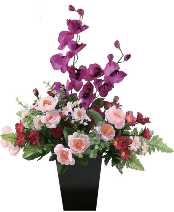 �ڥޥ饽������2000�ߥ����ݥ���ݥ����2�ܡۡڥ᡼����ľ���ۥե��ߥ꡼���饤�� ���γڱ� �����޲ù� �����ȥե� ���꡼�� �ԥ󥯡�����Բġۿ͹���ʪ �ե��������꡼�� ����ȥ�� ����ե��᡼����� ���ե����ȶ�