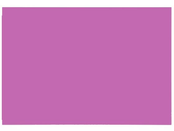 【レビュー投稿で100円OFFクーポン】大王製紙 再生色画用紙 8ツ切 10枚 むらさき 色画用紙 八つ切 図画 工作 教材 学童