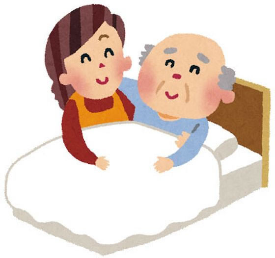 �ڥޥ饽�������ݥ����2�ܡۡڥ᡼����ľ���ۥե��ߥ꡼���饤�� ���롼�ߥ󥰥ҡ��ȥ��å��� ������ a3166310������Բġ�ɡ�ӥ��å��� �ޥ�����롼�ߥ� �������С� �Хꥫ�� ������ ����ե��� �򹯲���