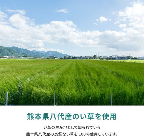 【レビュー投稿で100円OFFクーポン】【メーカー直送】萩原 敷詰 国産 い草カーペット 天草 上敷 江戸間 2帖【代引不可】カーペット ラグ マット リビング家具 インテリア [3]