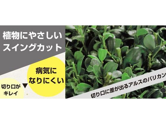 【レビュー投稿で100円OFFクーポン】送料無料【お取り寄せ】アルスコーポレーショ...