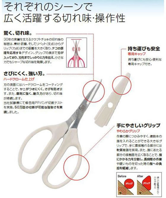 【レビュー投稿で100円OFFクーポン】【お取り寄せ】アルスコーポレーション バイオ...
