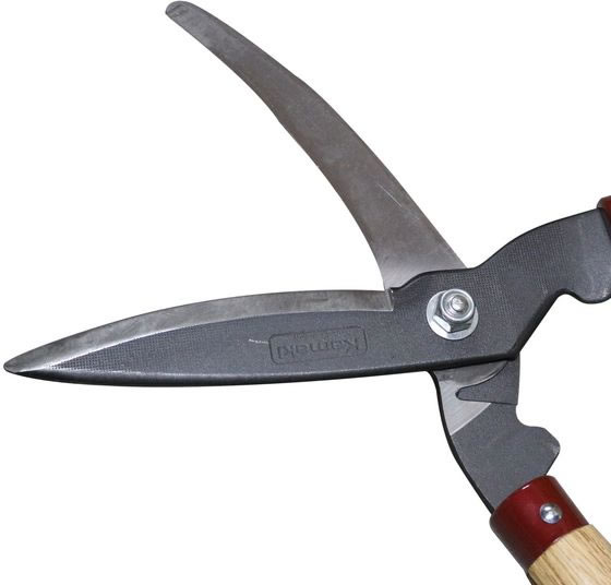 �ڥ�ӥ塼��Ƥ�100��OFF�����ݥ������̵���ڤ����󤻡�ʡ�� ʡϺ ���Ϸ������� �ܳ����� #011 �����ϥ��� ���� ���Ȼ�� ������� ������� ����