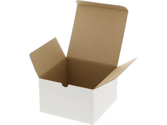 �ڥ�ӥ塼��Ƥ�100��OFF�����ݥ�ۡڤ����󤻡ۥإ����� �ե꡼�ܥå��� F-2 ��̵�� 10�� 006205002 ���եȥܥå��� ������ ���� ��å�...