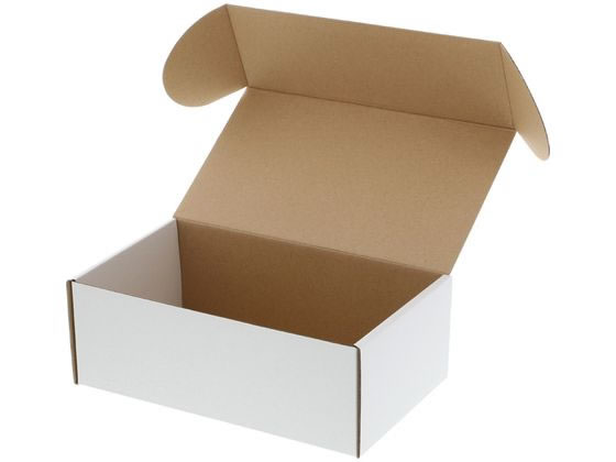 �ڥ�ӥ塼��Ƥ�100��OFF�����ݥ�ۡڤ����󤻡ۥإ����� �ե꡼�ܥå��� F-3 ��̵�� 10�� 006205003 ���եȥܥå��� ������ ���� ��å�...