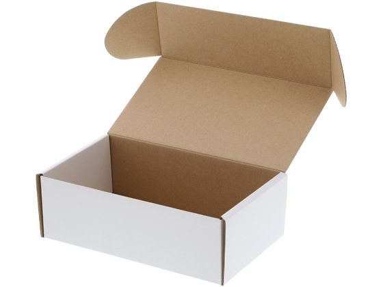 �ڥ�ӥ塼��Ƥ�100��OFF�����ݥ�ۡڤ����󤻡ۥإ����� �ե꡼�ܥå��� F-11 ��̵�� 10�� 006205011 ���եȥܥå��� ������ ���� ���...