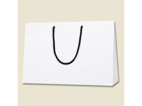 【マラソン限定★ポイント2倍】【お取り寄せ】ヘイコー 手提げ紙袋 ブライトバッグ 45-13 白 MT 10枚 紙手提袋 丸紐 手提袋 ラッピング 包装