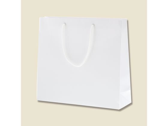 【レビュー投稿で100円OFFクーポン】【お取り寄せ】ヘイコー 手提げ紙袋 ブライトバッグ GM 白 10枚 006137901 紙手提袋 丸紐 手提袋 ラッピング 包装