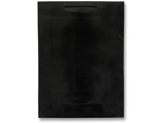 【レビュー投稿で100円OFFクーポン】【お取り寄せ】ヘイコー 手提げ紙袋 ブライトバッグ KA 黒 10枚 006137800 紙手提袋 丸紐 手提袋 ラッピング 包装