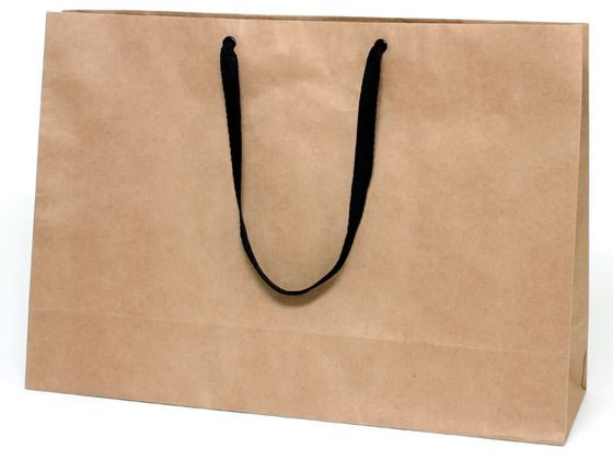 【レビュー投稿で100円OFFクーポン】送料無料【お取り寄せ】ヘイコー 手提げ紙袋 ファッションバッグ LLワイド 未晒無地 10枚 紙手提袋 平紐 手提袋 ラッピング 包装