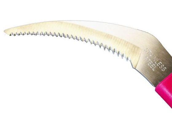 �ڳ�ŷ�����ѡ�SALE������ݥ����2�ܡ�2,000�ߥ����ݥ�ۡڤ����󤻡����ṩ�� ���ƥ���� ASF-130S #193113 ���ڤ� ���ڤ� ���� ���� ���Ȼ�� ������� ������� ����