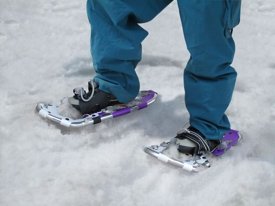 �ڳ�ŷ�����ѡ�SALE������ݥ����2�ܡ�2,000�ߥ����ݥ�ۡڤ����󤻡ۥ���ѥ� �ϥ����졼�� ���Ρ����塼53�� ��Ǽ���� �㤫�� ������ ���� ���� ���