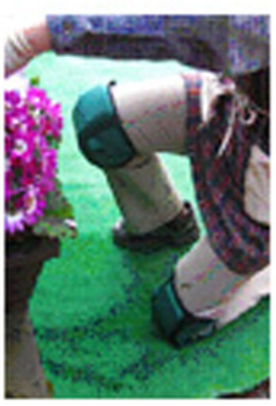 �ڥ�ӥ塼��Ƥ�100��OFF�����ݥ�ۡڤ����󤻡ۥ���ѥ� �ɤ��Ǥ� �Ҥ����ƥ��� 2���� ��ʧ�� ���ȵ��� ���� ���Ȼ�� ������� ������� ����