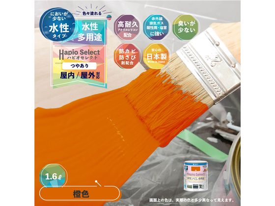 ココデカウの【お取り寄せ】カンペハピオ ハピオセレクト 橙色 1.6L｜アングル2