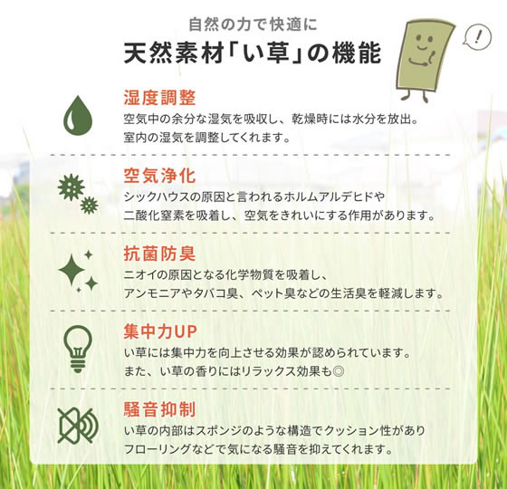 �ڥޥ饽�������ݥ����2�ܡۡڥ᡼����ľ�����븶 �֤��� ���� 820��820�߸�25mm �֥饦�������Բġۥ����ڥå� �饰 �ޥå� ��ӥ󥰲ȶ� ����ƥꥢ