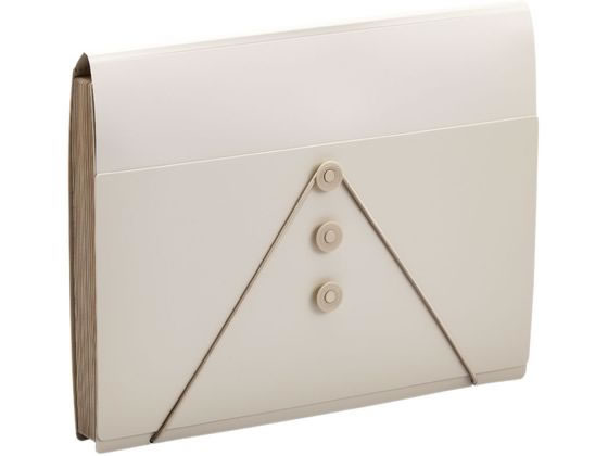 【マラソン限定★2000円クーポン＆ポイント2倍】キングジム サクッと整理ドキュメントファイル フタ付 A..