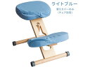 【メーカー直送】宮武製作所 プロポーションチェア用替えカバー ライトブルー CV-N8W【代引不可】ダイニングチェア ソファ イス リビング家具 インテリア
