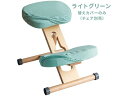 【メーカー直送】宮武製作所 プロポーションチェア用替えカバー ライトグリーン CV-N8W【代引不可】ダイニングチェア ソファ イス リビング家具 インテリア
