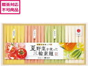 【メーカー直送】池利 夏野菜を使った三輪素麺 NY-50A【代引不可】