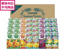 【ポイント2倍★19日20:00~26日1:59迄】【メーカー直送】カゴメ すこやかサマーバラエティギフト(紙容器) KYJ-50S【代引不可】 果汁飲料 ジュース 飲料 ドリンク お取り寄せグルメ