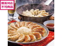 【メーカー直送】アイエスワイ 静岡B級グルメ浜松餃子45粒 HG-3【代引不可】惣菜 お取り寄せグルメ
