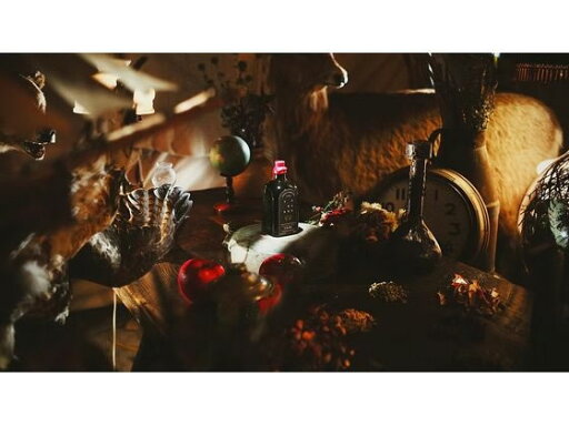 【レビュー投稿で100円OFFクーポン】【お取り寄せ】芙蓉酒造 芙蓉酒造 YOHAKHU GIN 500mL 国産 ジン 洋酒 お酒