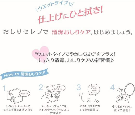 �ڥ�ӥ塼��Ƥ�100��OFF�����ݥ�ۡڥ᡼����ľ���ۥͥԥ� �����ꥻ���WET ���� 40���12�ġ�����Բġۤ�����դ� ����� �٥ӡ�����