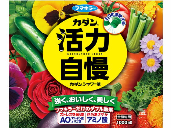 �ڳ�ŷ�����ѡ�SALE������ݥ����2�ܡ�2,000�ߥ����ݥ�ۡڤ����󤻡ۥեޥ��顼 �����󥷥���(E)1000ml ���Ϻ� ���� ��� �����ǥ˥�