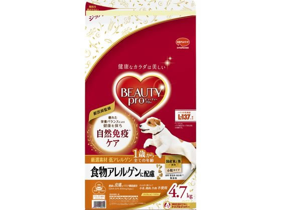 �r���[�e�B�[�v�� �h�b�O �H���A�����Q���ɔz�� 1�΂��� 4.7kg