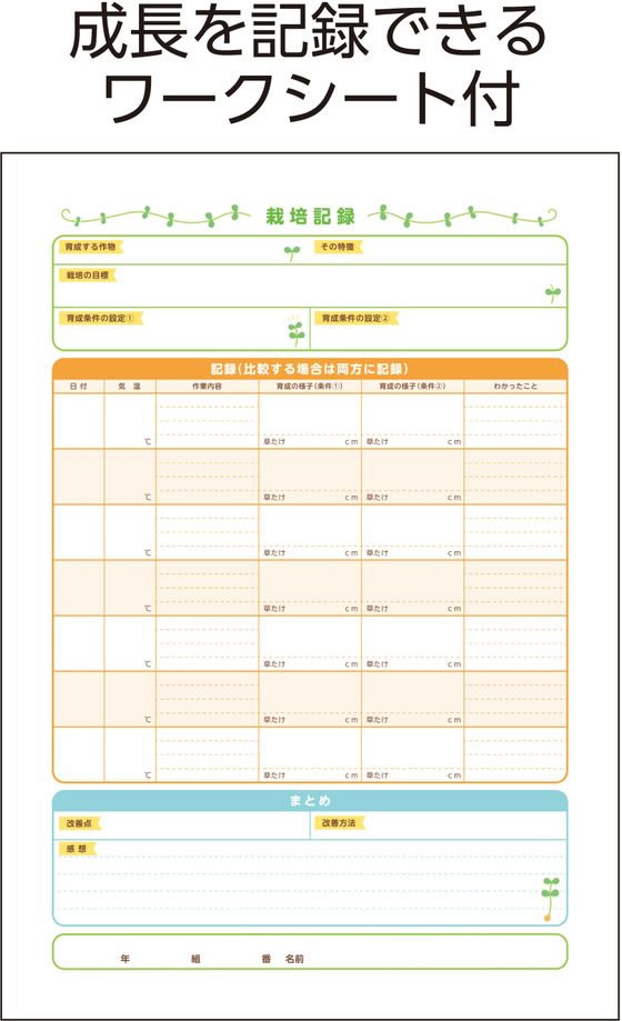 【楽天スーパーSALE限定★ポイント2倍＆2,000円クーポン】【お取り寄せ】アーテック...