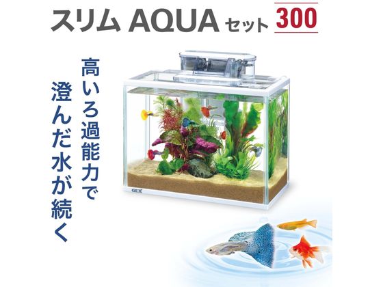 �ڳ�ŷ�����ѡ�SALE������ݥ����2�ܡ�2,000�ߥ����ݥ�ۡڤ����󤻡ۥ����å��� ����� ���������å� 300 11951 ���� ������� ���å� �Ѿ޵� �ڥå� �������ꥦ��