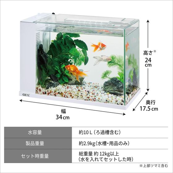 �ڥ�ӥ塼��Ƥ�100��OFF�����ݥ�ۡڤ����󤻡ۥ����å��� ����� �ۥ磻�� 11969 ���� ������� ���å� �Ѿ޵� �ڥå� �������ꥦ��