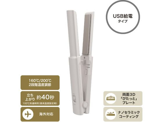 【マラソン限定★ポイント2倍＆2,000円クーポン】【お取り寄せ】テスコム ミニ ヘア...