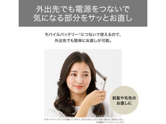 【マラソン限定★ポイント2倍＆2,000円クーポン】【お取り寄せ】テスコム ミニ ヘア...
