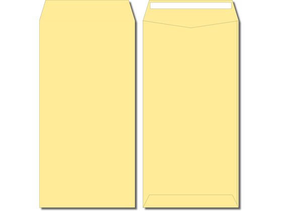 �ڳ�ŷ�����ѡ�SALE������ݥ����2�ܡ�2,000�ߥ����ݥ�ۡڤ����󤻡ۥ���� Ĺ3�ϡ��եȡ������� ���꡼�� �ե����󥿥å� 1000�� N3S-521...